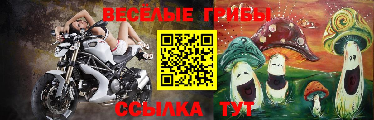Псилоцибиновые грибы ЛСД  Вход с VPN  Артёмовский  Псилоцибиновые грибы GOLDEN TEACHER 